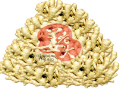 Gừng Tươi