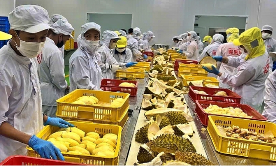 Mở toang cánh cửa những mặt hàng tỷ đô:Cần có truy xuất nguồn gốc nội bộ