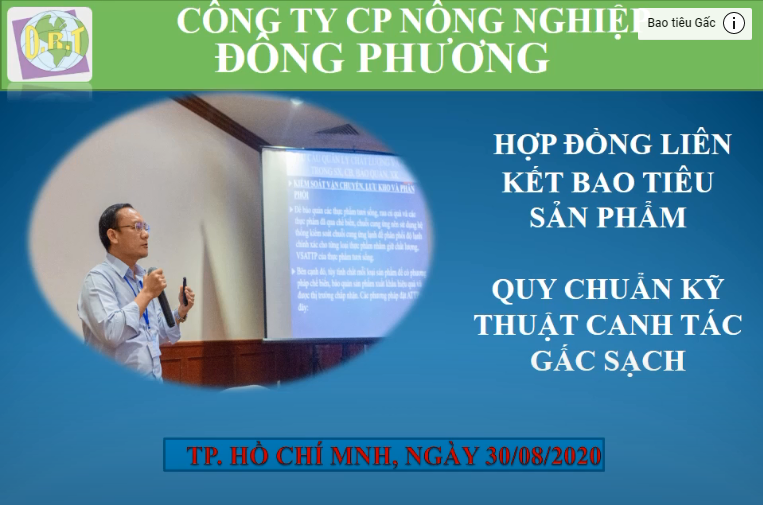 Dự án trồng Gấc Xuất Khẩu