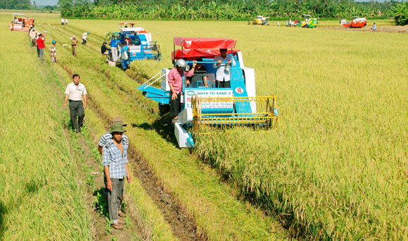 Miễn thuế đất nông nghiệp đến hết 2020