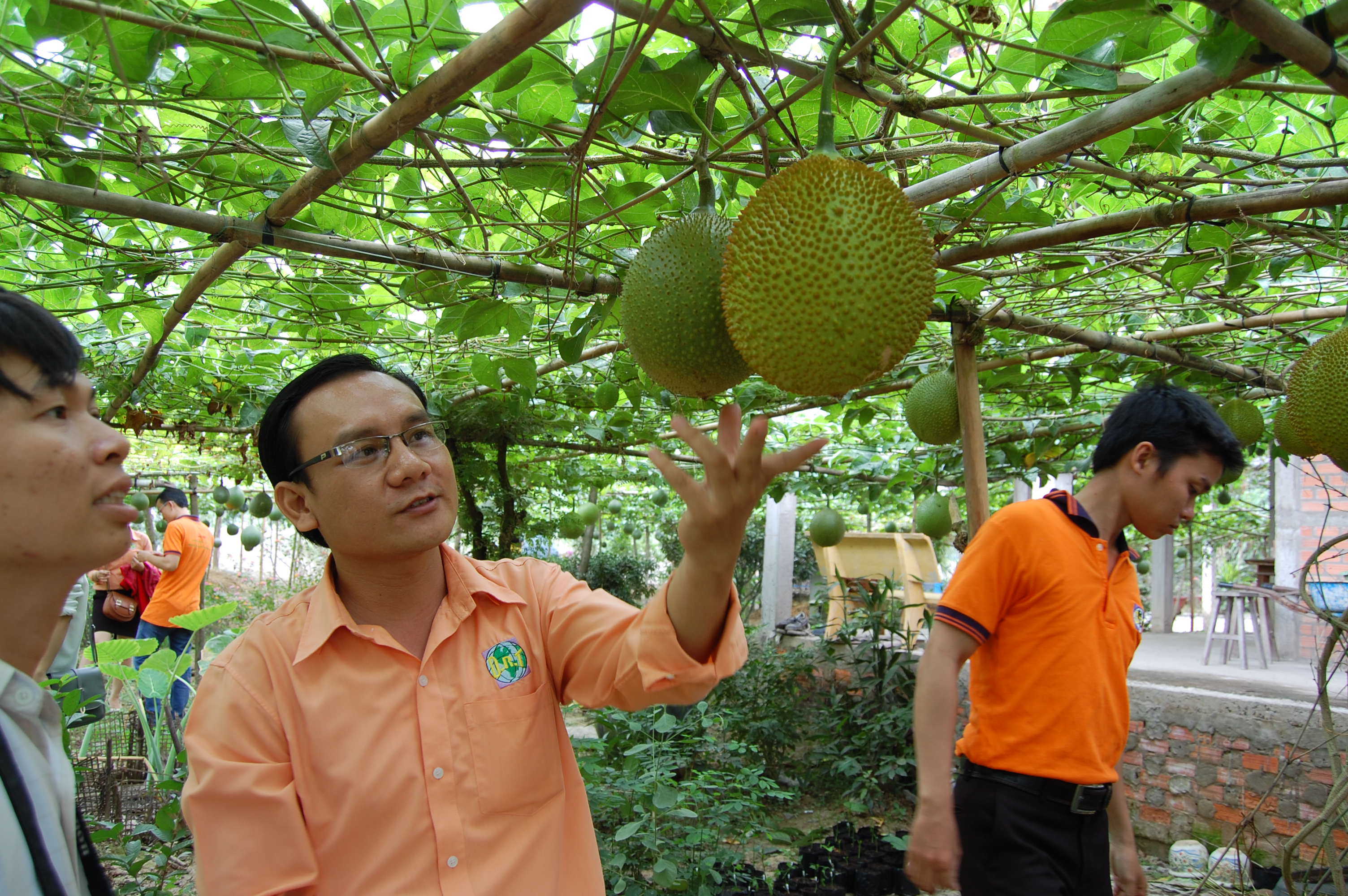 'Nguyên tắc vàng' trong sản xuất nông nghiệp