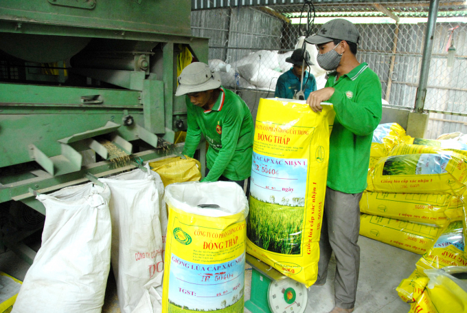 Đảm bảo lúa giống chất lượng