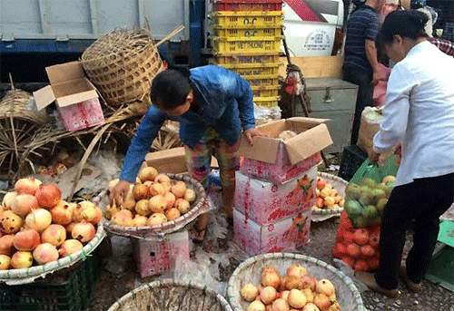 Nông sản Việt: Tìm cơ hội trong cạnh tranh