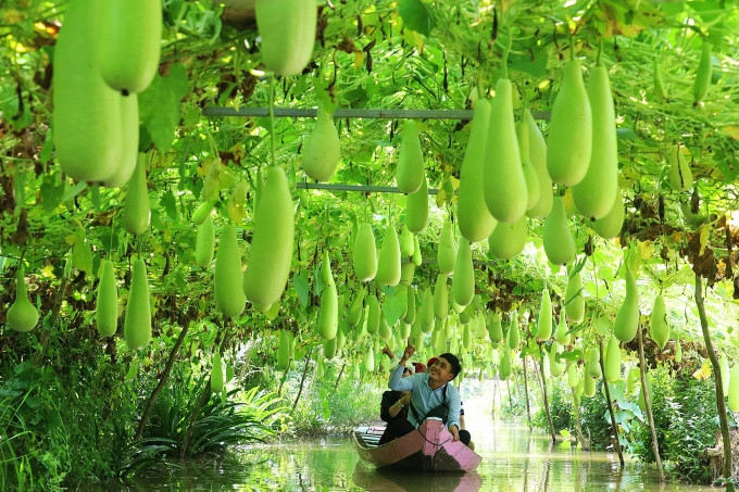 Sẽ có tài liệu hướng dẫn về phát triển du lịch nông thôn