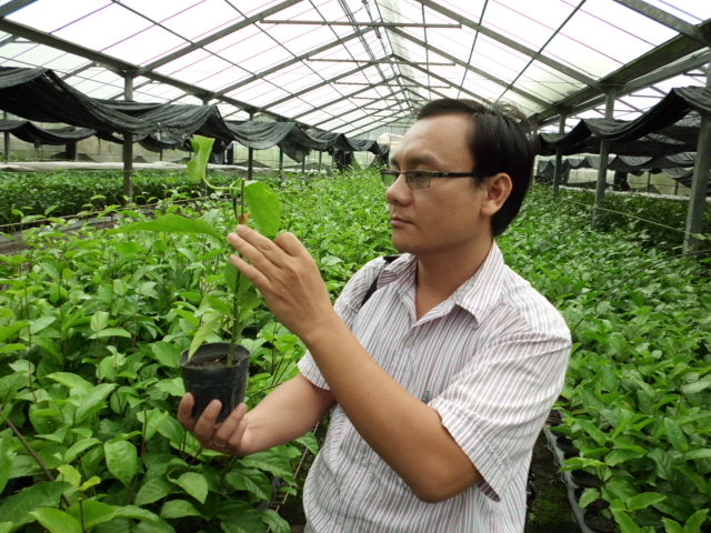 TRUNG TÂM GIỐNG CÂY TRỒNG CÔNG NGHỆ CAO – SEEDLING VIETNAM 