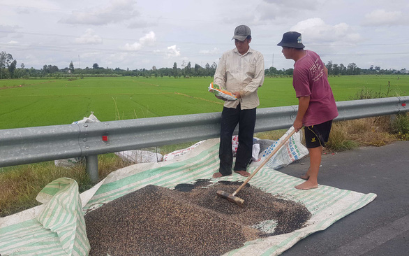 NÔNG DÂN KHÕC RÒNG VỚI PHÂN BÓN TĂNG CAO