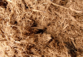BÃ MÍA Ủ CHUA