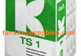 TS 1