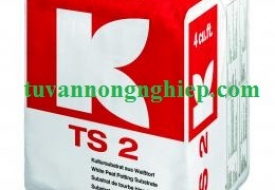 TS 2