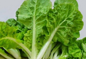 Hạt giống Rau Cải Bẹ Dún