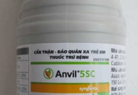 Anvil 5SC 