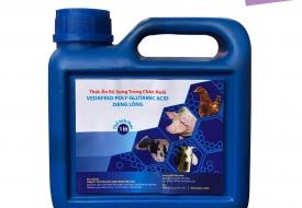 Thức Ăn Bổ Sung Trong Chăn Nuôi VEDAFEED POLY-GLUTAMIC ACID DẠNG LỎNG