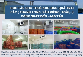 Cho thuê kho lạnh