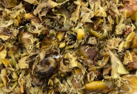 BÃ DỨA Ủ CHUA