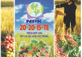 NPK 20-20-15