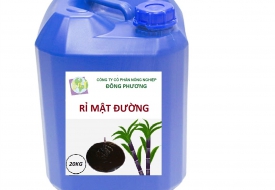 RỈ MẬT ĐƯỜNG/RỈ ĐƯỜNG/RỈ MẬT